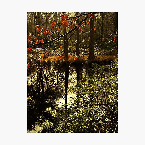 Item preview, Golden green lake scene designed and sold by moor2sea.