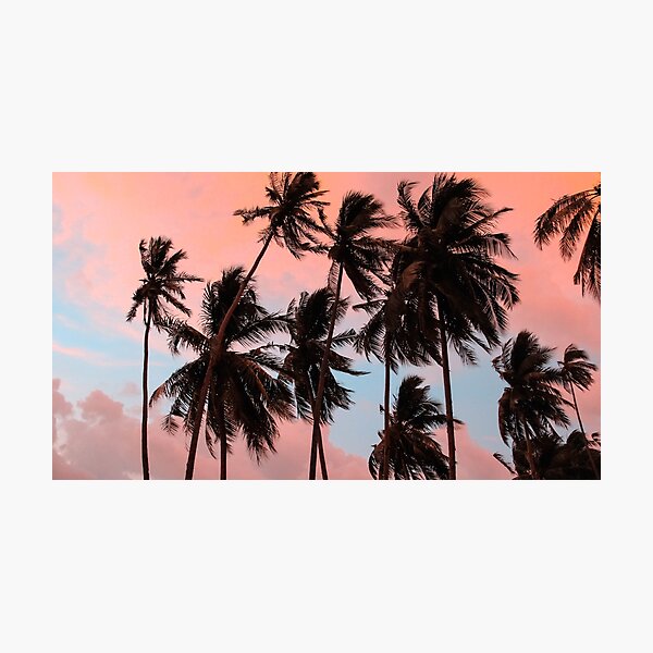 Item preview, Sunset Palm Trees designed and sold by newburyboutique.