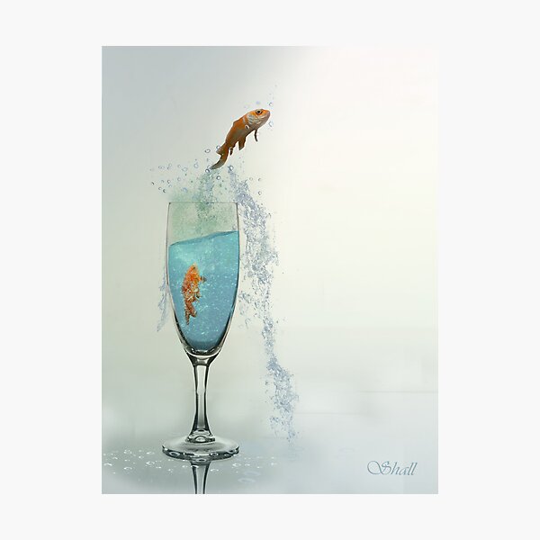 Item preview, Drinks Like a Fish... designed and sold by shall.