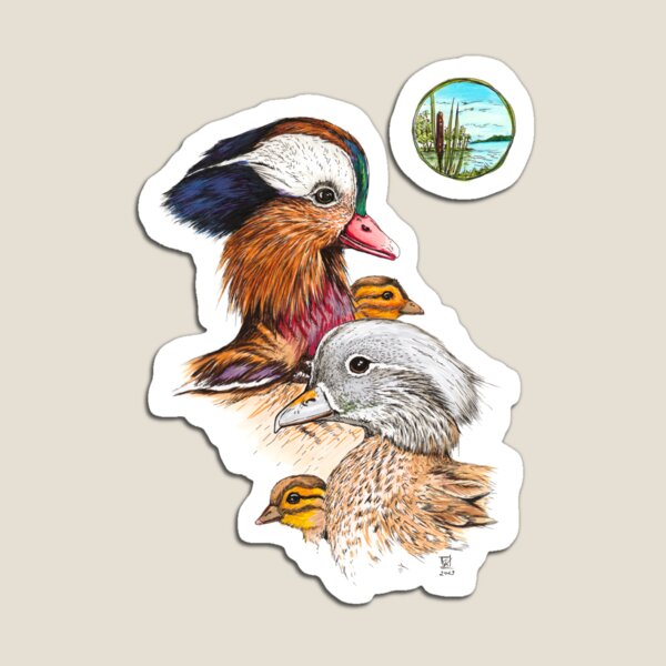 Mandarin Enten Magnet