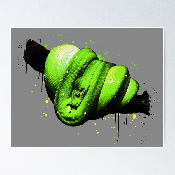 Item preview, Green Tree Python Morelia Viridis Watercolor designed and sold by JRRTs.