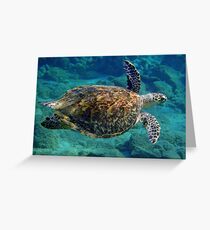 Hawksbill Turtle Greeting Card