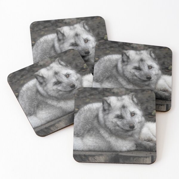 Item preview, Arctic Fox designed and sold by wenniewombat.