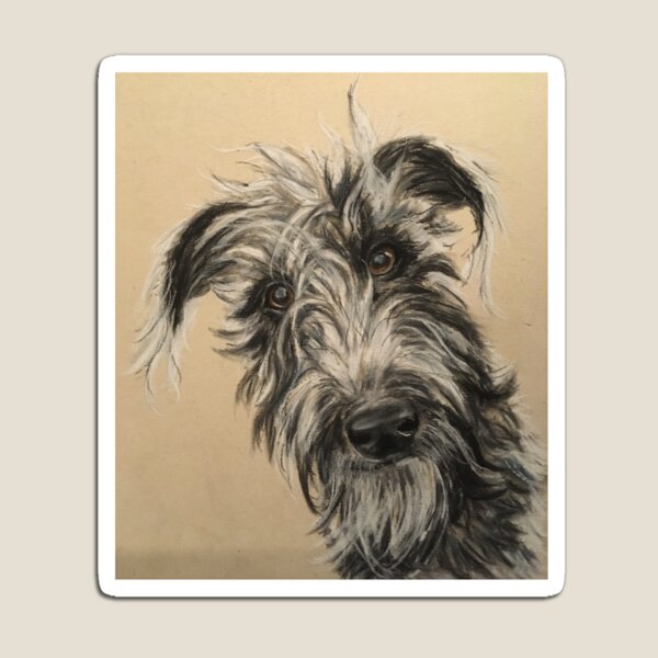 Item preview, Scruffy Beddy/whippet Lurcher  designed and sold by Merlinsmates.