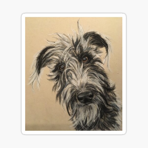 Item preview, Scruffy Beddy/whippet Lurcher  designed and sold by Merlinsmates.