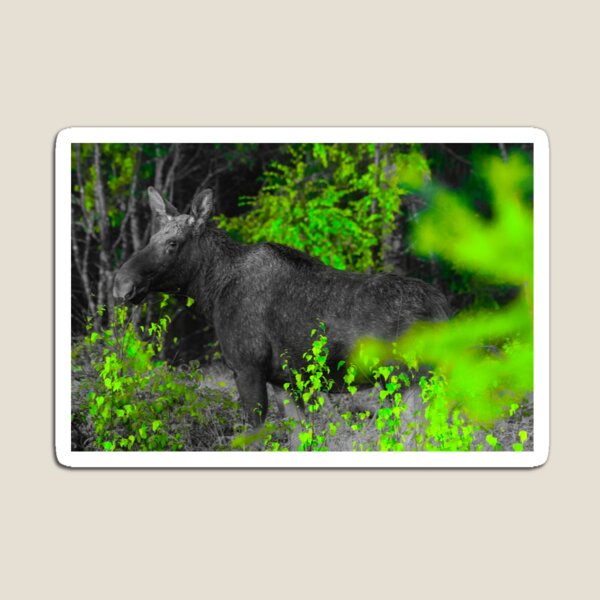 Item preview, Moose in green designed and sold by Mayos21.