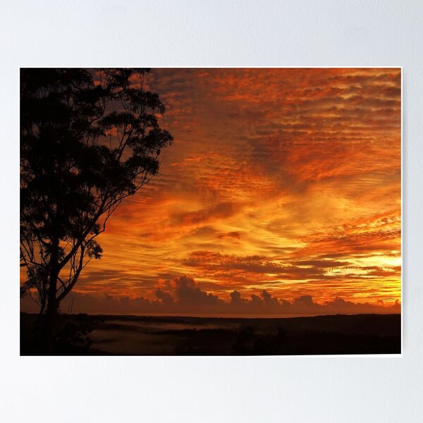 Item preview, Shades of Orange designed and sold by debsphotos.