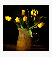 Lámina fotográfica tulipes jaunes