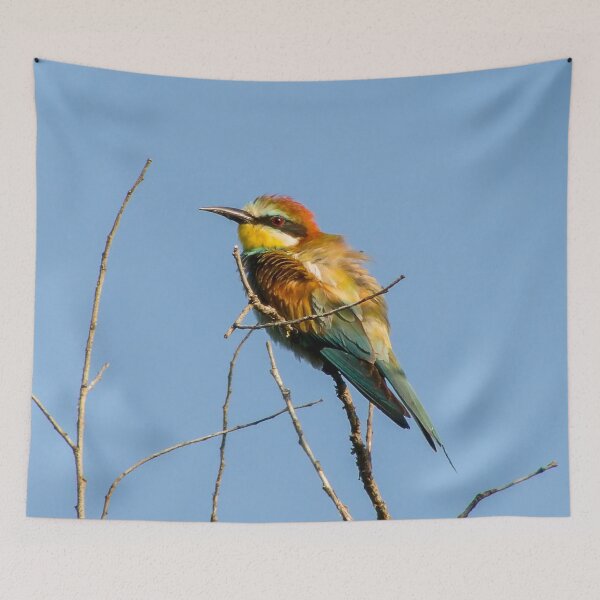 Item preview, Bee eater designed and sold by Guardi71.