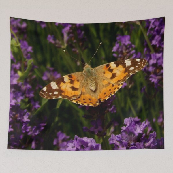 Item preview, Butterfly 2 designed and sold by Guardi71.