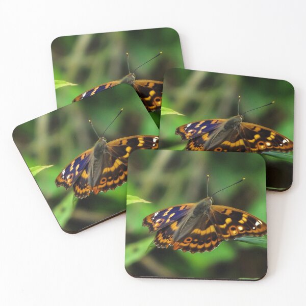 Item preview, Butterfly designed and sold by Guardi71.