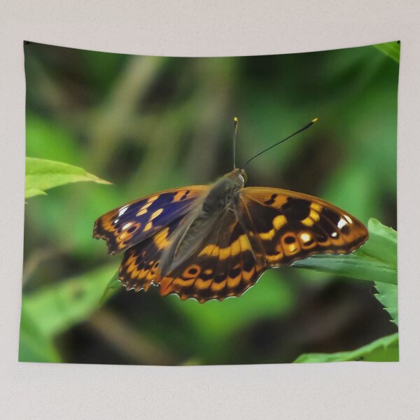 Item preview, Butterfly designed and sold by Guardi71.