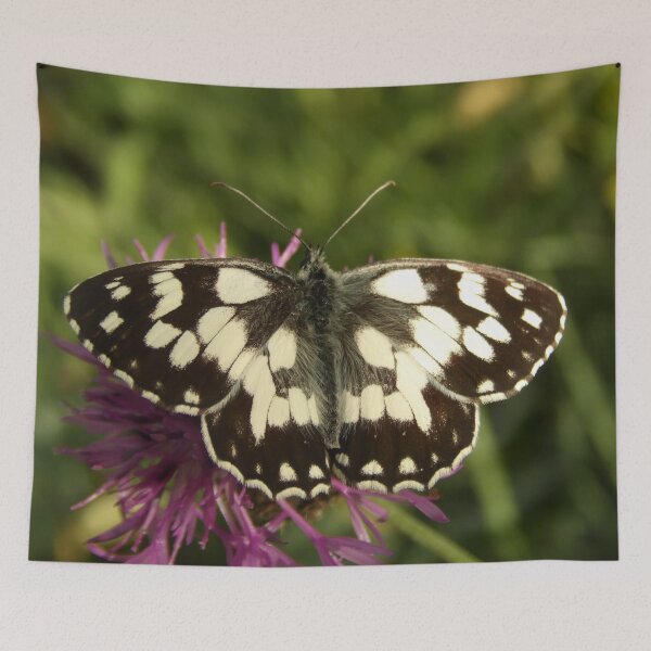 Item preview, Butterfly 3 designed and sold by Guardi71.