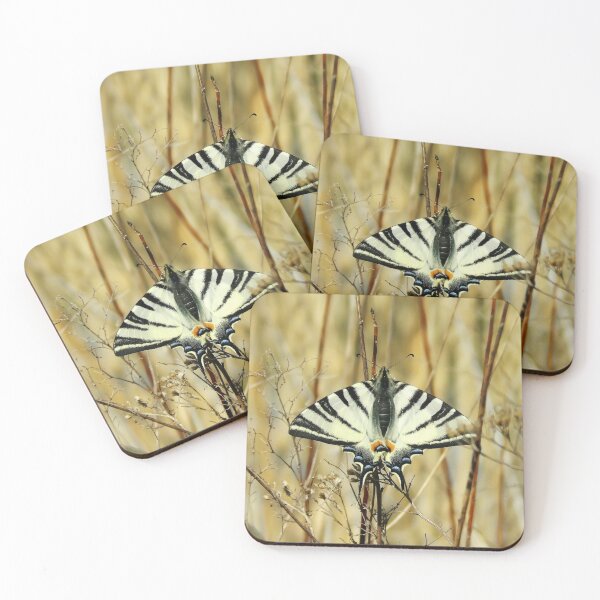 Item preview, Butterfly 5 designed and sold by Guardi71.
