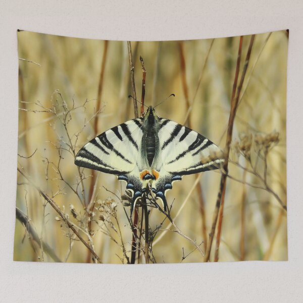 Item preview, Butterfly 5 designed and sold by Guardi71.