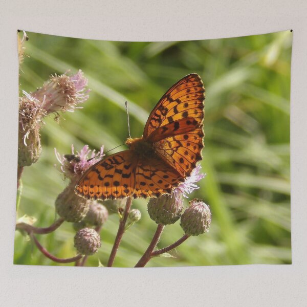 Item preview, Butterfly 6 designed and sold by Guardi71.