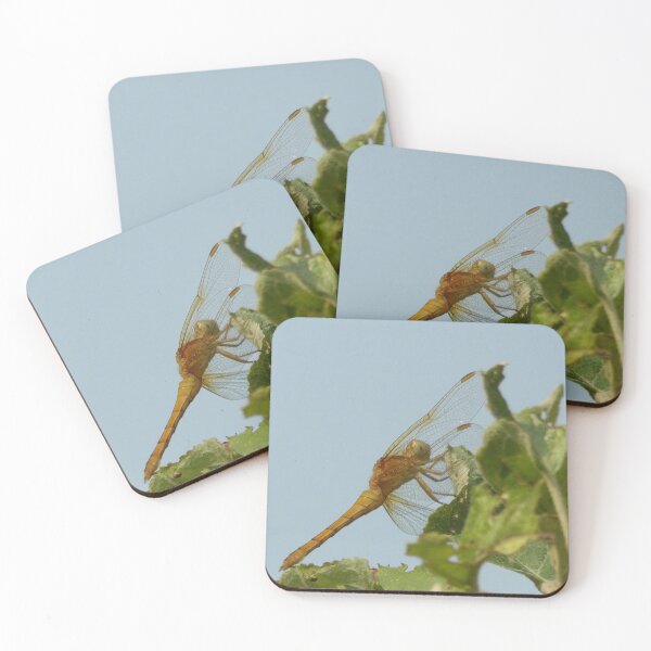 Item preview, Dragonfly designed and sold by Guardi71.