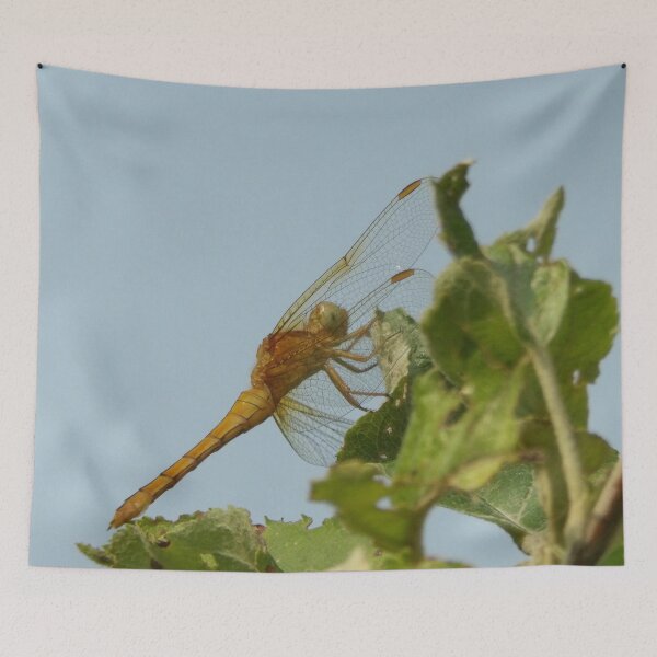 Item preview, Dragonfly designed and sold by Guardi71.