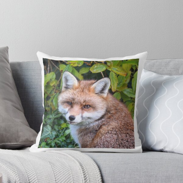 Item preview, Looking foxy designed and sold by Willtompsett.
