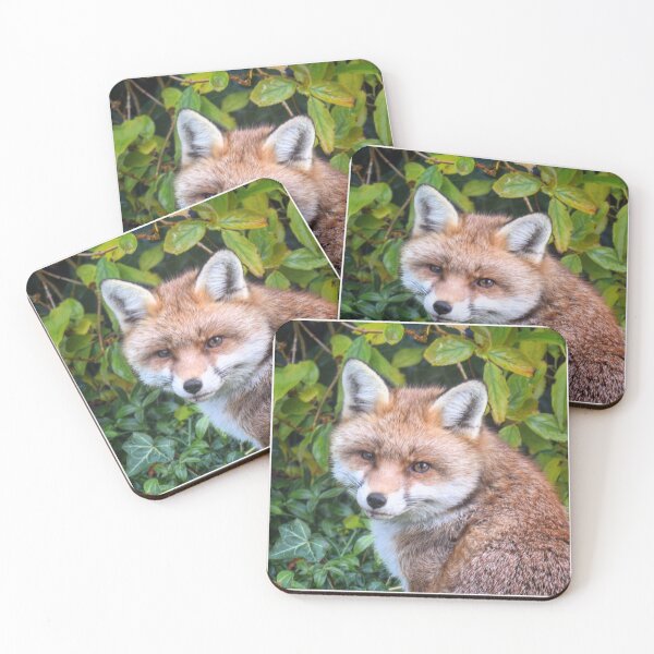 Item preview, Looking foxy designed and sold by Willtompsett.