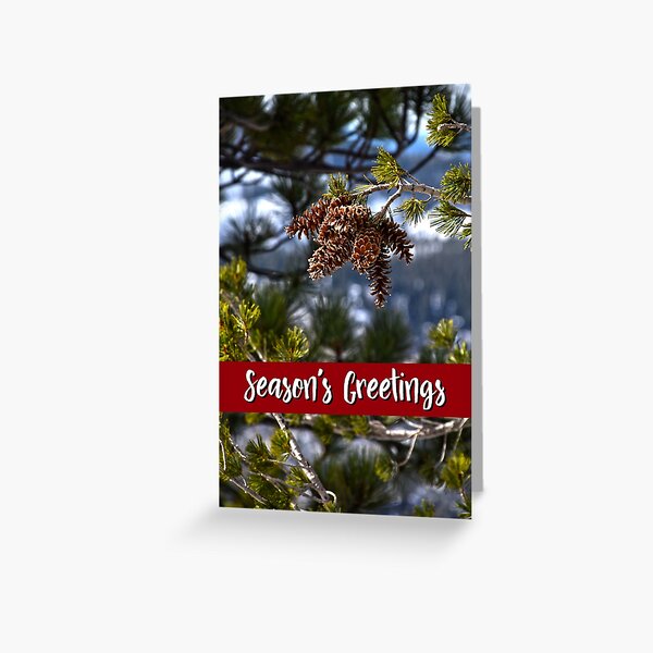 Western White Pine Holiday Card Greeting Card