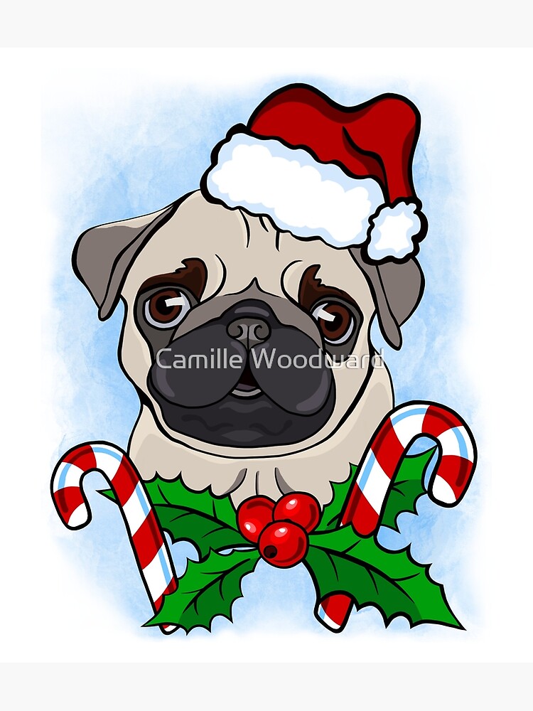 Pug with 2025 christmas hat