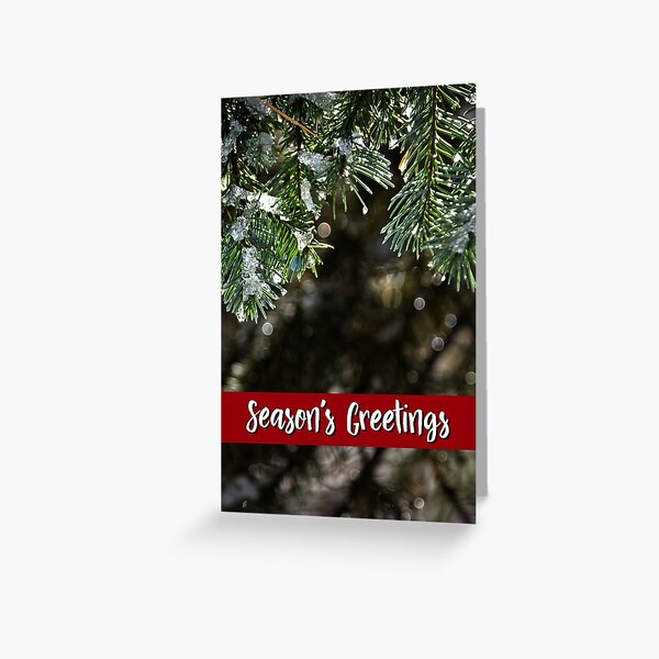 White Fir Holiday Card Greeting Card