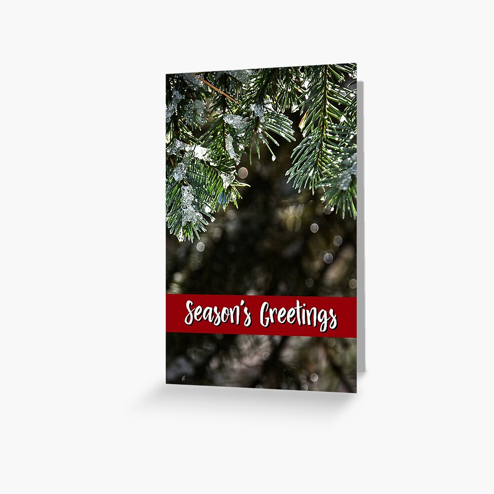 White Fir Holiday Card Greeting Card