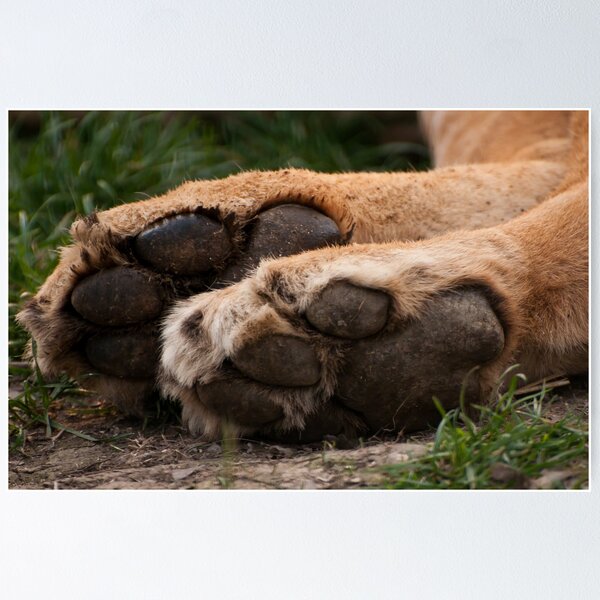 Item preview, Tiny tootsies  designed and sold by Foxfire.