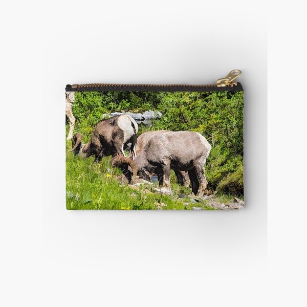 Item preview, Rams grazing in the mountains. designed and sold by CanadianWild418.