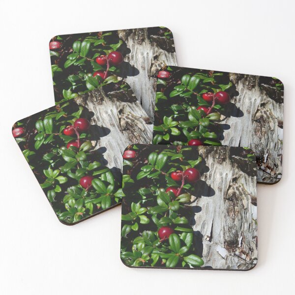 Item preview, Red Berries in the Woods designed and sold by Cynthia Staples.