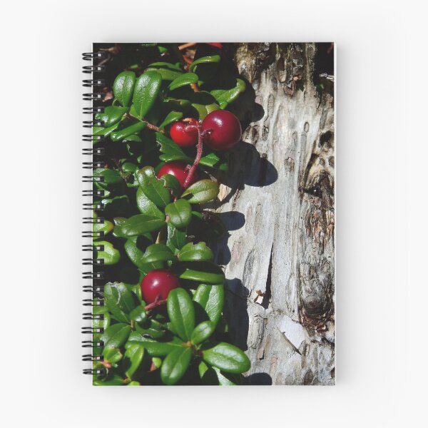 Item preview, Red Berries in the Woods designed and sold by Cynthia Staples.