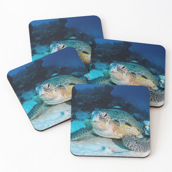 Item preview, Turtle Resting designed and sold by KarenWillshaw.