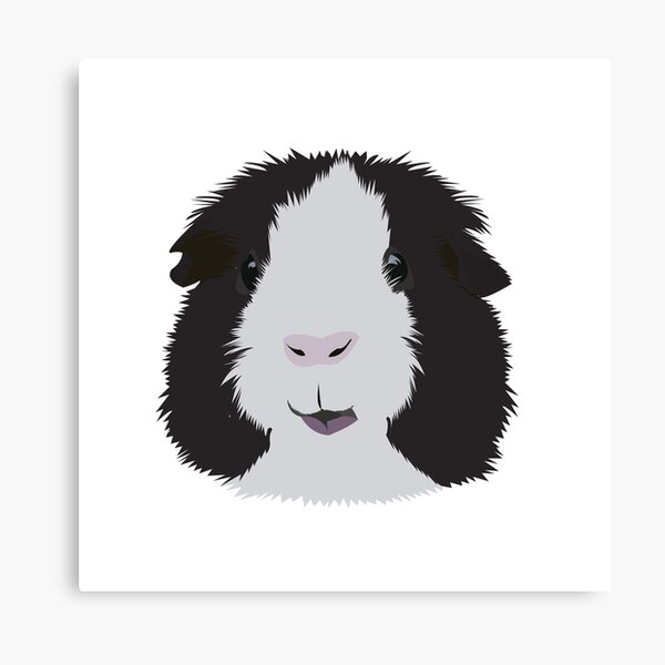 Guinea Pig Wall Art Redbubble