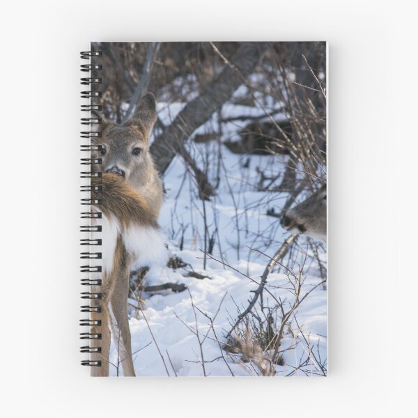 Item preview, White Tailed Deer. designed and sold by CanadianWild418.