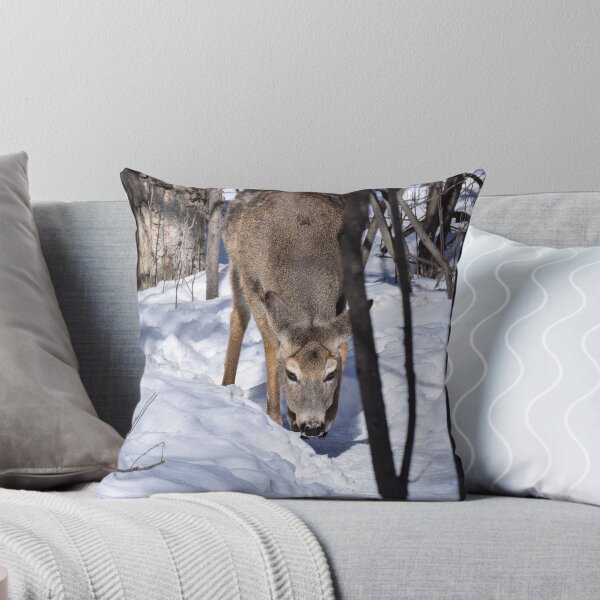 Item preview, White Tailed Deer. designed and sold by CanadianWild418.
