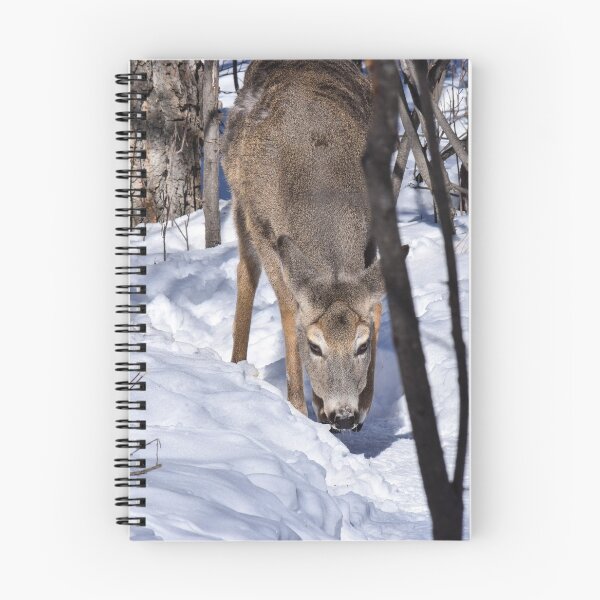 Item preview, White Tailed Deer. designed and sold by CanadianWild418.
