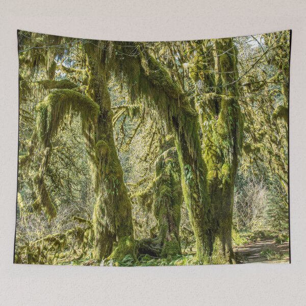 Item preview, Horror forest designed and sold by wolfgangrainer.