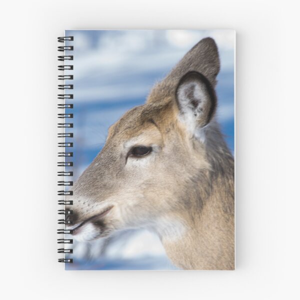 Item preview, Young deer. designed and sold by CanadianWild418.