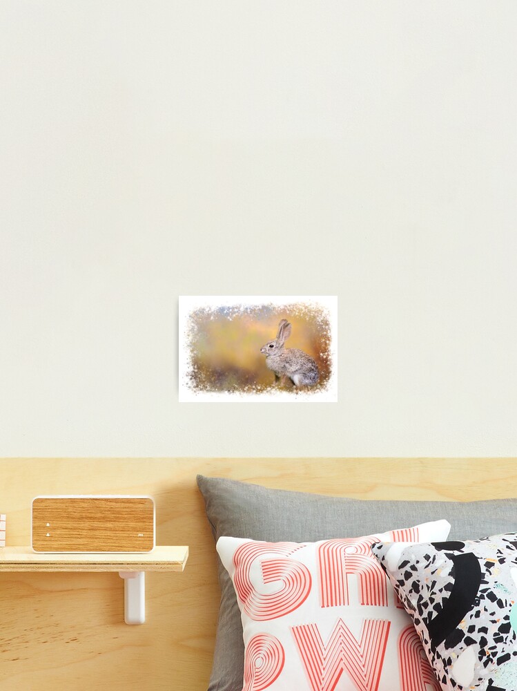 Thumbnail 2 of 3, Photographic Print, Spring Rabbit designed and sold by fineart2017.
