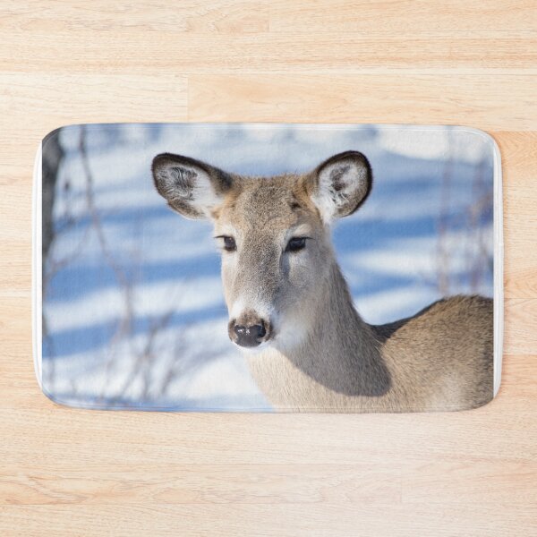 Item preview, Young Deer with amazing eyes. designed and sold by CanadianWild418.