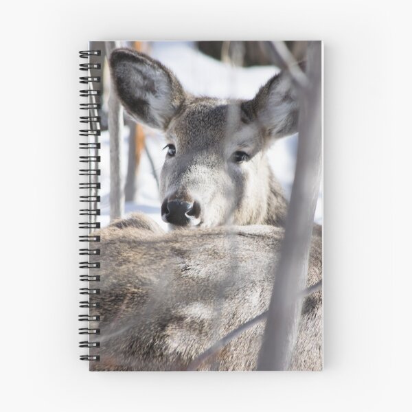 Item preview, White tailed deer. designed and sold by CanadianWild418.