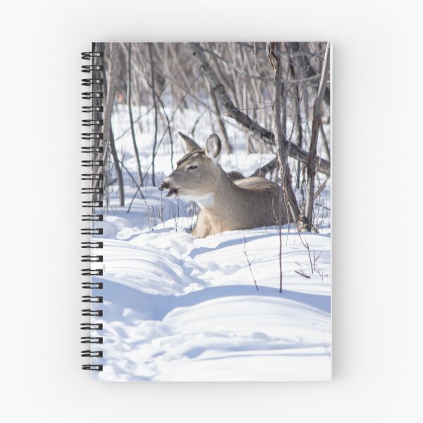 Item preview, Deer at rest. designed and sold by CanadianWild418.