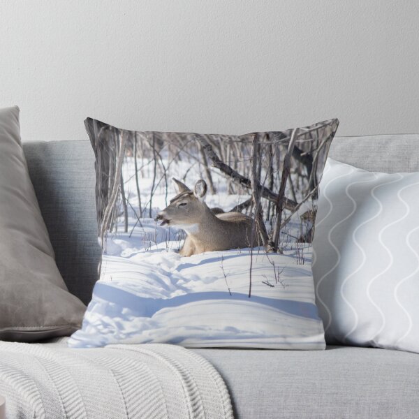 Item preview, Deer at rest. designed and sold by CanadianWild418.