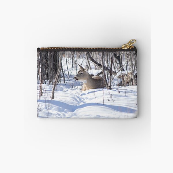 Item preview, Deer at rest. designed and sold by CanadianWild418.