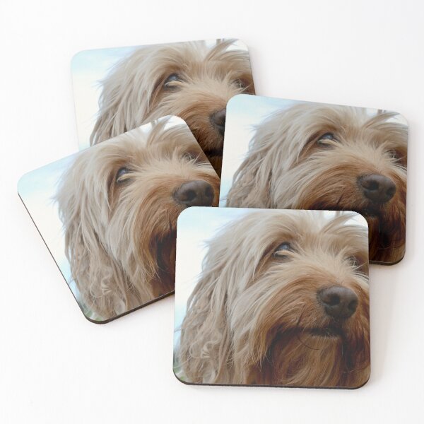Item preview, Cute Cockapoo Dog designed and sold by thelemmingface.