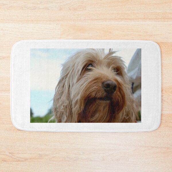 Item preview, Cute Cockapoo Dog designed and sold by thelemmingface.