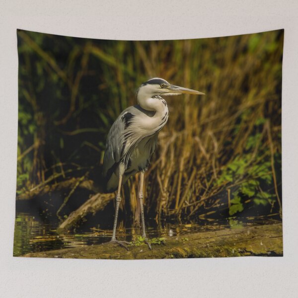 Item preview, Gray heron designed and sold by Guardi71.