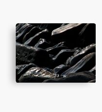 Kimmeridge rocks Canvas Print