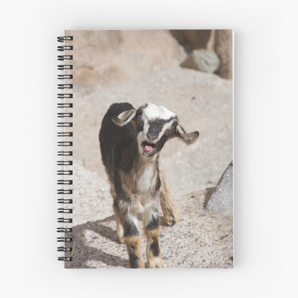 Item preview, Bleating Baby Goat designed and sold by thelemmingface.
